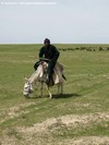 Guardiani di pecore a cavallo di un asino